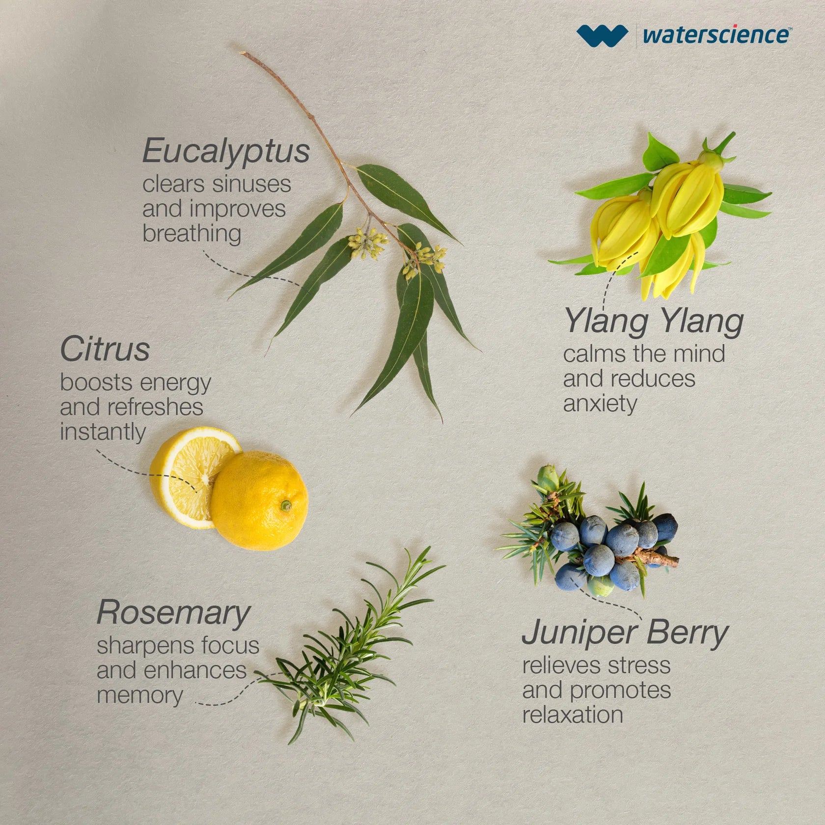 CLEO Aroma Therapy Shower Filter for Hard Water