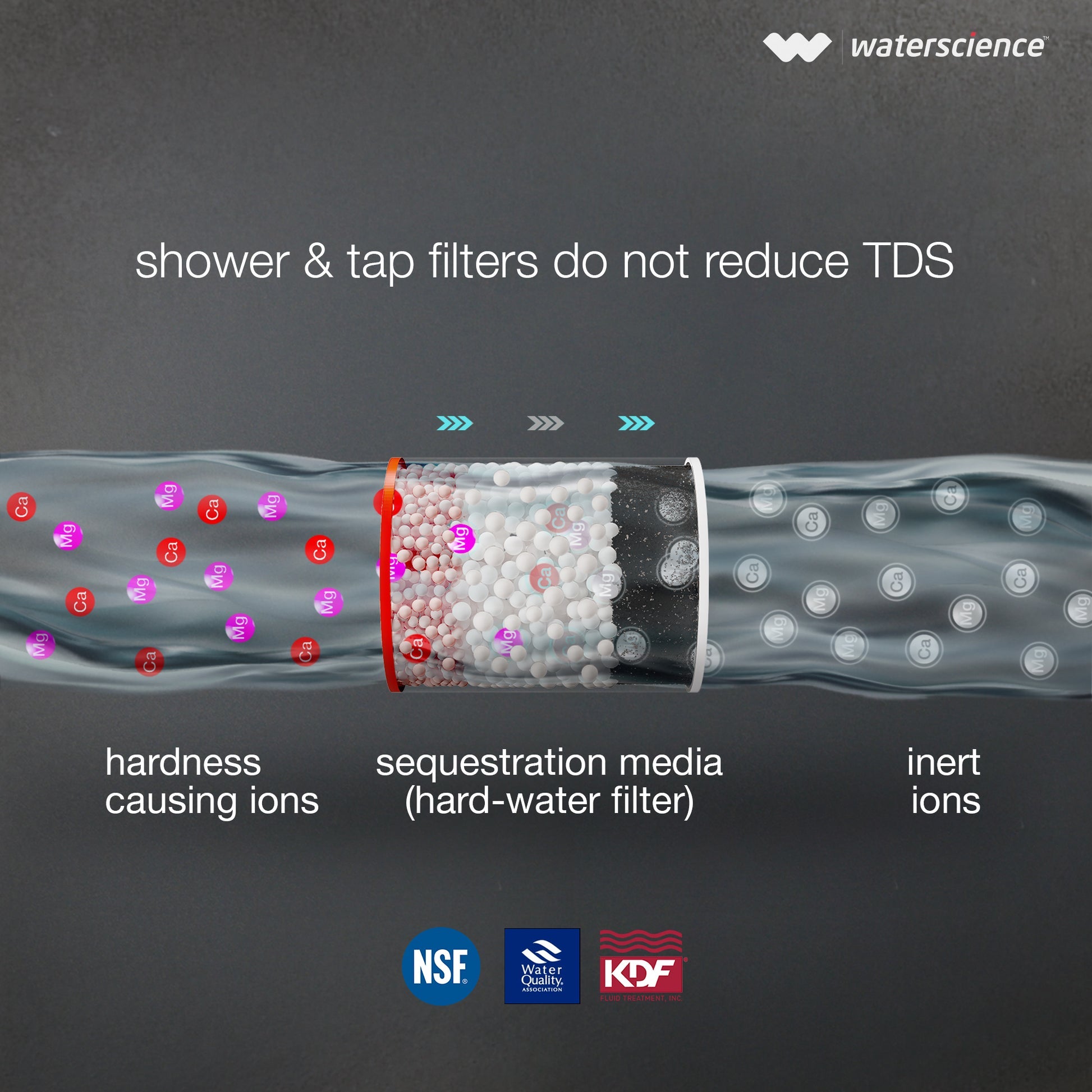 WaterScience CLEO Shower & Tap Filter for Hard Water